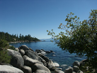 More Nature